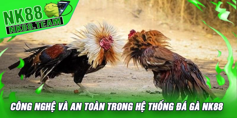 Công Nghệ Và An Toàn Trong Hệ Thống Đá Gà NK88