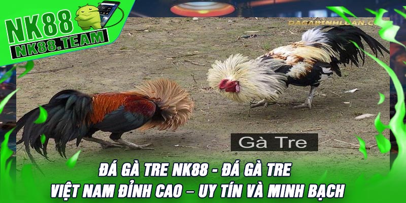 Đá Gà Tre NK88 - Đá Gà Tre Việt Nam Đỉnh Cao – Uy Tín Và Minh Bạch