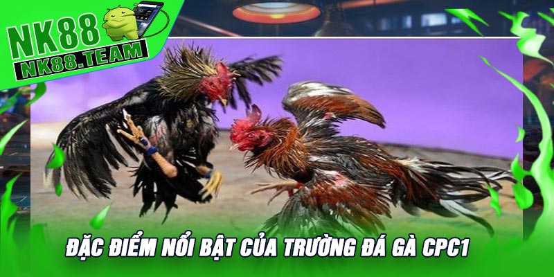 Đặc Điểm Nổi Bật Của Trường Đá Gà CPC1