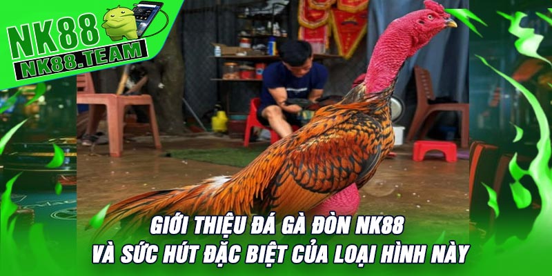 Giới Thiệu Đá Gà Đòn NK88 Và Sức Hút Đặc Biệt Của Loại Hình Này