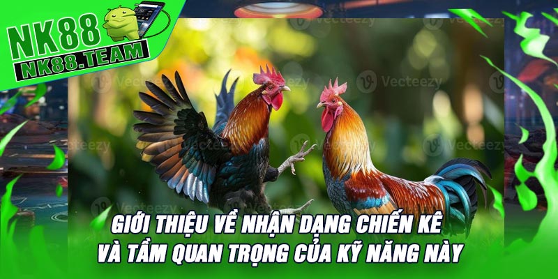 Giới Thiệu Về Nhận Dạng Chiến Kê Và Tầm Quan Trọng Của Kỹ Năng Này