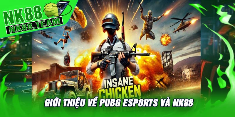 Giới Thiệu Về PUBG Esports Và NK88