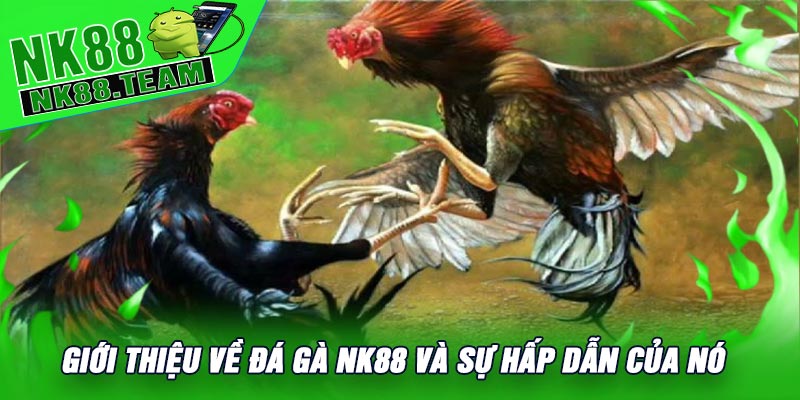 Giới thiệu về Đá Gà NK88 và Sự Hấp Dẫn Của Nó