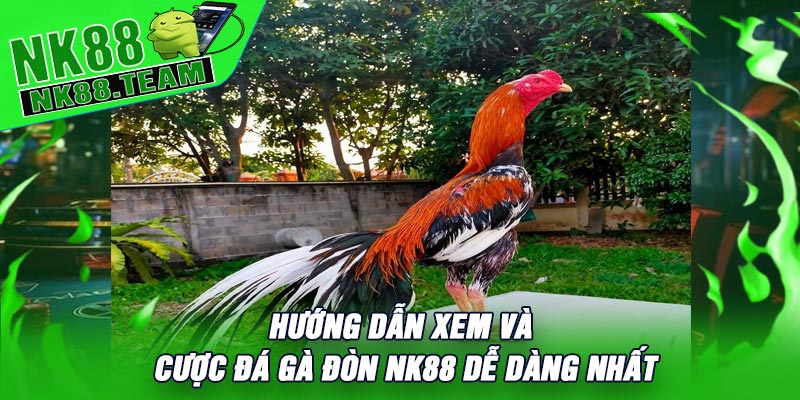 Hướng Dẫn Xem Và Cược Đá Gà Đòn NK88 Dễ Dàng Nhất