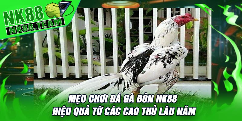 Mẹo Chơi Đá Gà Đòn NK88 Hiệu Quả Từ Các Cao Thủ Lâu Năm