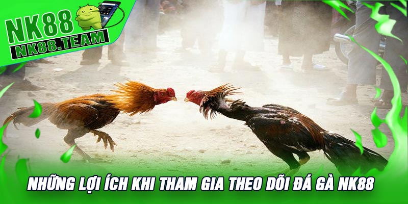 Những Lợi Ích Khi Tham Gia Theo Dõi Đá Gà NK88